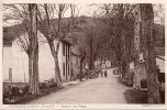 82....TARN ET GARONNE...ST PIERRE LIVRON...AVENUE DU CAMP.......NON...ECRITE. ....  ..    .‹(•¿•)› - Autres & Non Classés