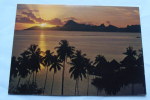 Polynésie Française - Coucher De Soleil Sur Moorea Vu Du Beachcomber Parkroyal - Frans-Polynesië