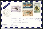 Somalia Cover, Letter. Cote Francaise Des Somalis. Djibouti 8.2.1966. Fishes. (H74c002) - Somalia (1960-...)