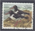 ICELAND 1987 Birds. Oystercatcher - 70k. FU - Used Stamps