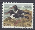 ICELAND 1987 Birds. Oystercatcher - 70k. FU - Oblitérés