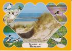 (NE334) RENESSE. OISSEAUX. BIRD - Renesse