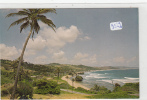 CPM - Barbades - DC9 Bathsheba Coast (carte Publicitaire  Compagnie Aérienne BWIA) - Barbados