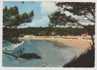 VAUX SUR MER EN 1965 - LA PLAGE DE NAUZAN - Vaux-sur-Mer