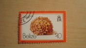Belize  1980  Scott #487   CTO      10 Dollar Shell - Belize (1973-...)