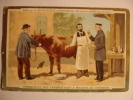 CHROMO CARTE - CHOCOLAT D'AIGUEBELLE - Série PASTEUR - PASTEUR ET SES TRAVAUX SUR LA MALADIE DU CHARBON - Vache Cow - Aiguebelle