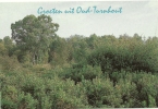 Oud Turnhout  Groeten Uit - Oud-Turnhout