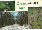 Achel Groen Achel Dorp - Altri & Non Classificati