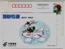 Cartoon Rabbit Postman,airplane,aircraft ,China 1999 Yunnan Post EMS Express Advertising Postal Stationery Card - Lapins