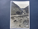 Photo Véritable 11x16cm . Sainte-Hélène (transport Par ânes) - Saint Helena Island