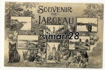 JARGEAU - SOUVENIR - Jargeau