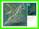 CARTE MAXIMUM, 1978 - POISSON -  CCCP 6K - - Maximum Cards