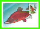 CARTE MAXIMUM, 1983 - POISSON - FISH -  CCCP 4K - NERKA - - Maximumkaarten