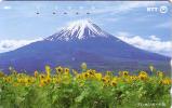 JAPON JAPAN FUJIYAMA VOLCAN VOLCANO SUNFLOWERS TOURNESOLS UT - Vulkane