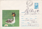 DUCK, CYGNES, 1972, COVER STATIONERY, ENTIER POSTAL, SENT TO MAIL, ROMANIA - Swans