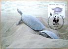 1992 VENEZUELA WWF MAXIMUM CARD 4 TURTLE TURTLES TORTOISE SCHILDKROTE - Turtles