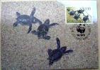1995 ST. KITTS WWF MAXIMUM CARD 2 TURTLE TURTLES TORTOISE SCHILDKROTE - Schildkröten