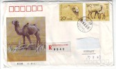 China R Letter To Hungary,Scott 2433-34 Wild Camel,Camelus Bactrianus Ferus,Scott 2412 - Briefe U. Dokumente