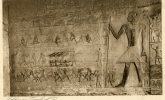 Egypt - Sakkara - Tomb Of Ti. [CPM Postcard] - Piramidi