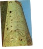 ZS27006 Shakhrisabz Ak Sarai Palace Minaret Brick Mosalc Not Used Perfect Shape Back Scan At Request - Usbekistan