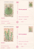 CACTUS, 6X, 1997, CARD STATIONERY, ENTIER POSTAL, UNUSED, ROMANIA - Cactusses