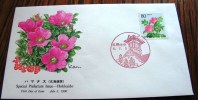 == Japan , FDC 1996 - FDC