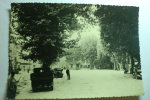 D 83 - Cuers - Place Carnot (carte Matrice) - Cuers