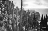 MONACO - Le Jardin Exotique - Vue Sur Le Rocher De Monaco - Giardino Esotico