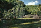 TAHITI LE MARAE  D'ARAHURAHU,COLORISE   REF 26364 - Tahiti