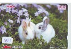 Carte Prépayée Japon * LAPIN (840) RABBIT * CARD JAPAN * KANINCHEN * KONIJN * CONEJO * KARTE - Conigli