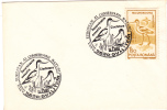 STORK, 1995, METER MARK ON COVER, ROMANIA - Ooievaars