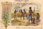 Dans Les Grandes Cultures - Le Sorgho - Récolte Et Mouture Du Sorgho (Afrique Française Occidentale) - Louit