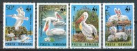 1984 Romania Pelicans Uccelli Birds Vogel Oiseaux Set MNH** T17 - Pellicani