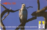 TARJETA DE SRI LANKA DE UN AGUILA (EAGLE) - Eagles & Birds Of Prey