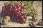 CARLO  CHIOSTRI   Fruits     Signed  Old Postcard - Chiostri, Carlo