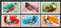 1981 Romania Piccioni Pigeons Uccelli Birds Vogel Oiseaux Set MNH** T18 - Neufs