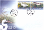 STORK, 2009, COVER FDC, ROMANIA - Canards