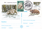 RONGEURS, 1997, CARD STATIONERY, ENTIER POSTAL, OBLITERATION CONCORDANTE, ROMANIA - Rongeurs