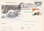 RONGEURS, 1997, CARD STATIONERY, ENTIER POSTAL, OBLITERATION CONCORDANTE, ROMANIA - Nager