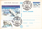 POLAR FOX, 1997, CARD STATIONERY, ENTIER POSTAL, OBLITERATION CONCORDANTE, ROMANIA - Roedores