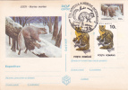 RONGEURS, 1997, CARD STATIONERY, ENTIER POSTAL, OBLITERATION CONCORDANTE, ROMANIA - Rodents
