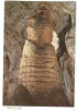 USA, Rock Of Ages, Carlsbad Caverns National Park, New Mexico, Unused Postcard [P8741] - Other & Unclassified