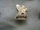 Pin´s Du Judo Club De LAUTERBOURG - Judo