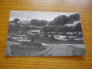 1959 : Golf De Bourbonne Les Bains En Haute Marne . Animé - Golf