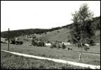 AK Rehefeld Im Osterzgebirge, 1962, Ung - Rehefeld