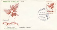 FDC  POLYNÉSIE  TAHITI  1988 PLANTES MÉDICINALES : FOUGERE # Botanique - FDC