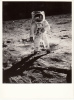 Phot Format 24.3 X 17.8 Cm - Lunar Surface - Apollo 11 - Sterrenkunde