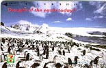 Japan  Phonecard Pinguin Penguin Pingouin - Pinguins