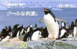 Japan  Phonecard Pinguin Penguin Pingouin - Pinguins