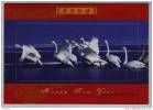 Swan Bird,China 2008 Jiangsu New Year Greeting Advertising Pre-stamped Letter Card - Swans